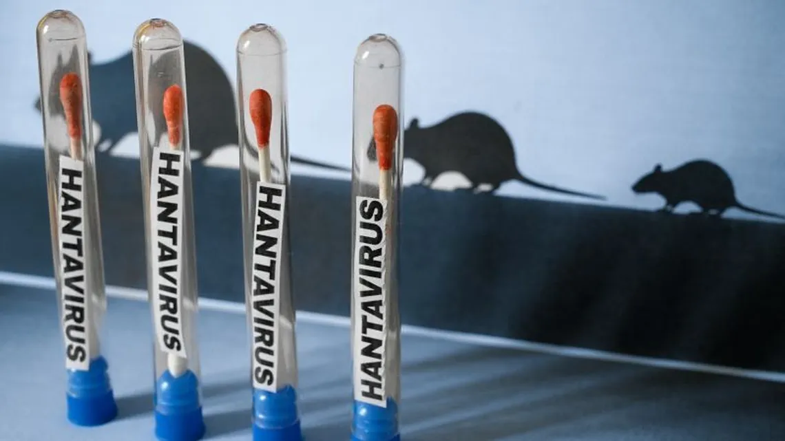 Argentina registra 102 casos de hantavirus